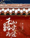 重生之王爺的心尖寵 封面