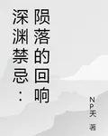深淵禁忌：隕落的迴響 封面