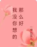 我沒你想的那麼好 封面