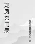龍鳳玄門錄 封面