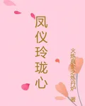 鳳儀玲瓏心 封面