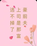逃不掉了，上司是那富豪前夫 封面