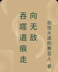 吞噬道痕走向無敵 封面
