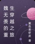 魏無羨的重生穿越之旅 封面