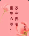 重生六零：家有悍妻 封面