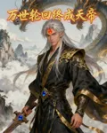 萬世輪迴終成天帝 封面