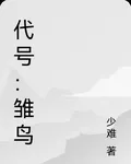 代號：雛鳥 封面