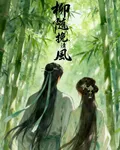 柳隨風：挽清風 封面