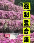 強制愛合集 封面