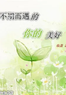 不期而遇的你的美好 封面