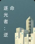 逐光者：逆命 封面