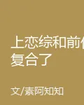 上戀綜和前任複合了 封面