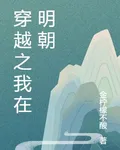 穿越之我在明朝 封面