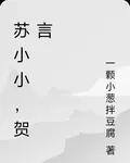 蘇小小，賀言 封面