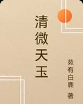 清微天玉 封面