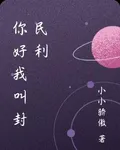 你好我叫封民利 封面