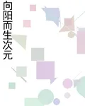 向陽而生次元 封面
