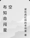 布知命闖星空 封面