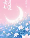 吻月知夏 封面
