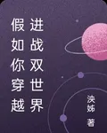 假如你穿越進戰雙世界 封面