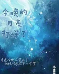 今晚的月亮打烊了 封面