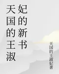 天國的王淑妃的新書 封面