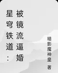 星穹鐵道：被鏡流逼婚 封面