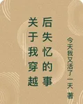關於我穿越後失憶的事 封面