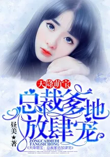 總裁追妻路漫漫 封面