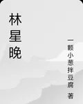 林星晚 封面