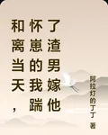 和離當天，懷崽的我踹了渣男嫁他 封面