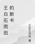王白石雨田的新書 封面