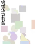 錦繡華袁莉磊 封面