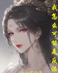 我怎麼可能是奸賊 封面