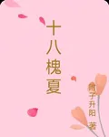 十八槐夏 封面