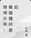 排球少年：被狐狸叼走後 封面