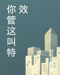你管這叫特效 封面