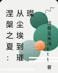涅槃之夏：從塵埃到璀璨 封面