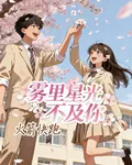 霧裏星光不及你 封面