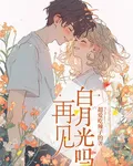 再見白月光嗎 封面
