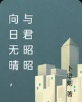 向日無晴，與君昭昭 封面