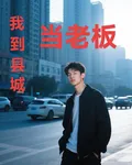 我到縣城當老闆 封面