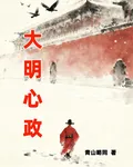 大明心政 封面