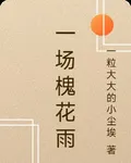 一場槐花雨 封面