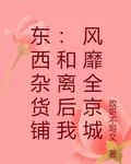 東西雜貨鋪：和離後我風靡全京城 封面