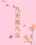 九天落凡塵 封面