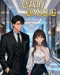 總裁的意外邂逅 封面