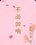 不必迴響 封面