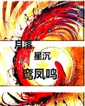 月落星沉鸞鳳鳴 封面