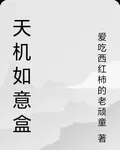 天機如意盒 封面
